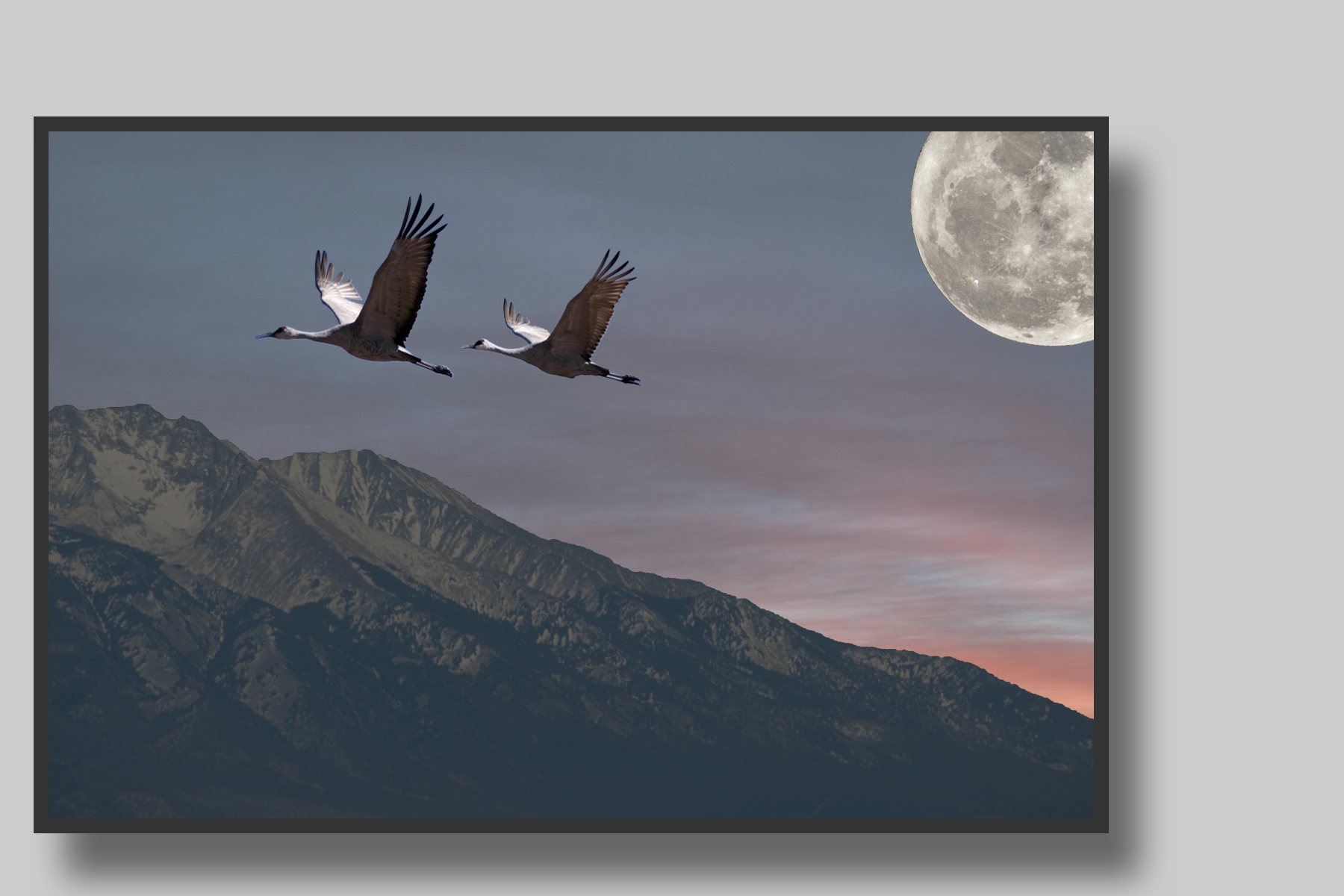 cranes and moon